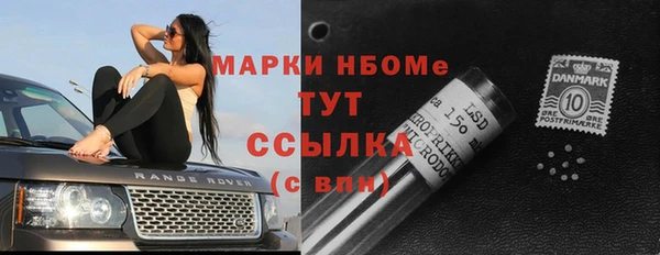 прущий лед Арсеньев