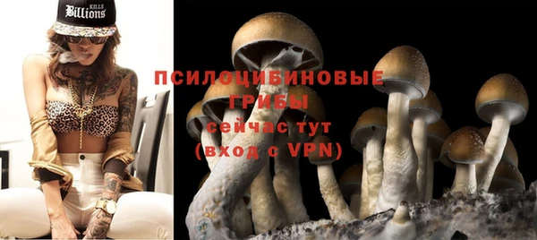прущий лед Арсеньев